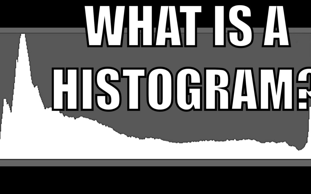What Is A Histogram And How Do You Read It? | Histograms Pt.1